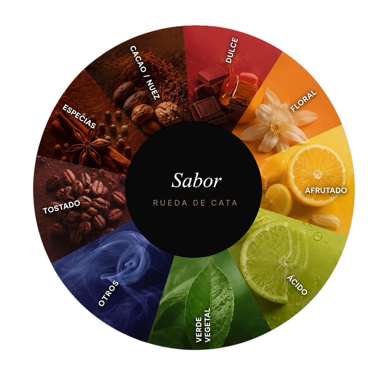 Rueda de cata de sabores del café: familias de aroma —dulce, floral, afrutado, ácido, vegetal, tostado, especias y cacao— ilustradas con ingredientes reales.